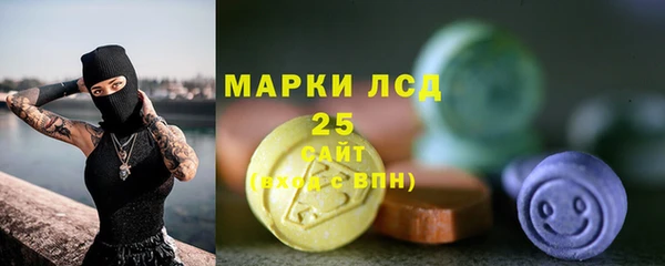 spice Гусиноозёрск