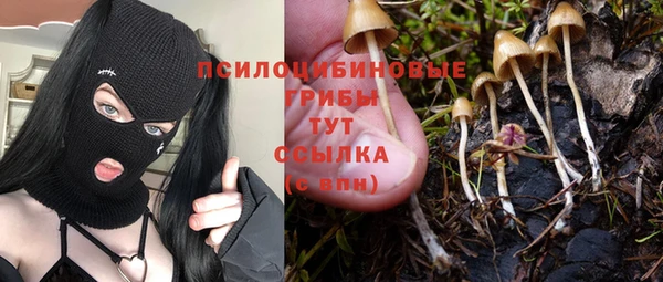 таблы Гусь-Хрустальный