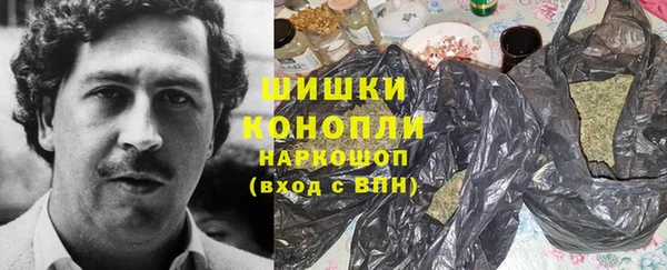 spice Гусиноозёрск