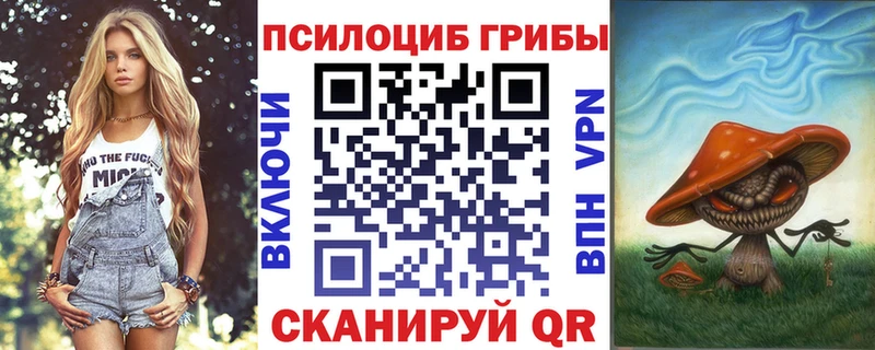 Купить закладки Полярный Псилоцибиновые грибы MAGIC MUSHROOMS
